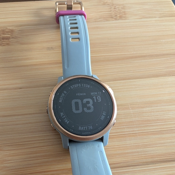 Garmin Fenix Smartwatch - Rose Gold and Blue
